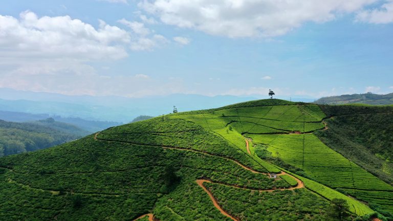 Nuwara Eliya Sri Lanka highlands tourism draws renewed interest from luxury operators