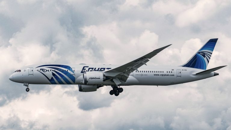 EgyptAir takes delivery of first Boeing 737 MAX