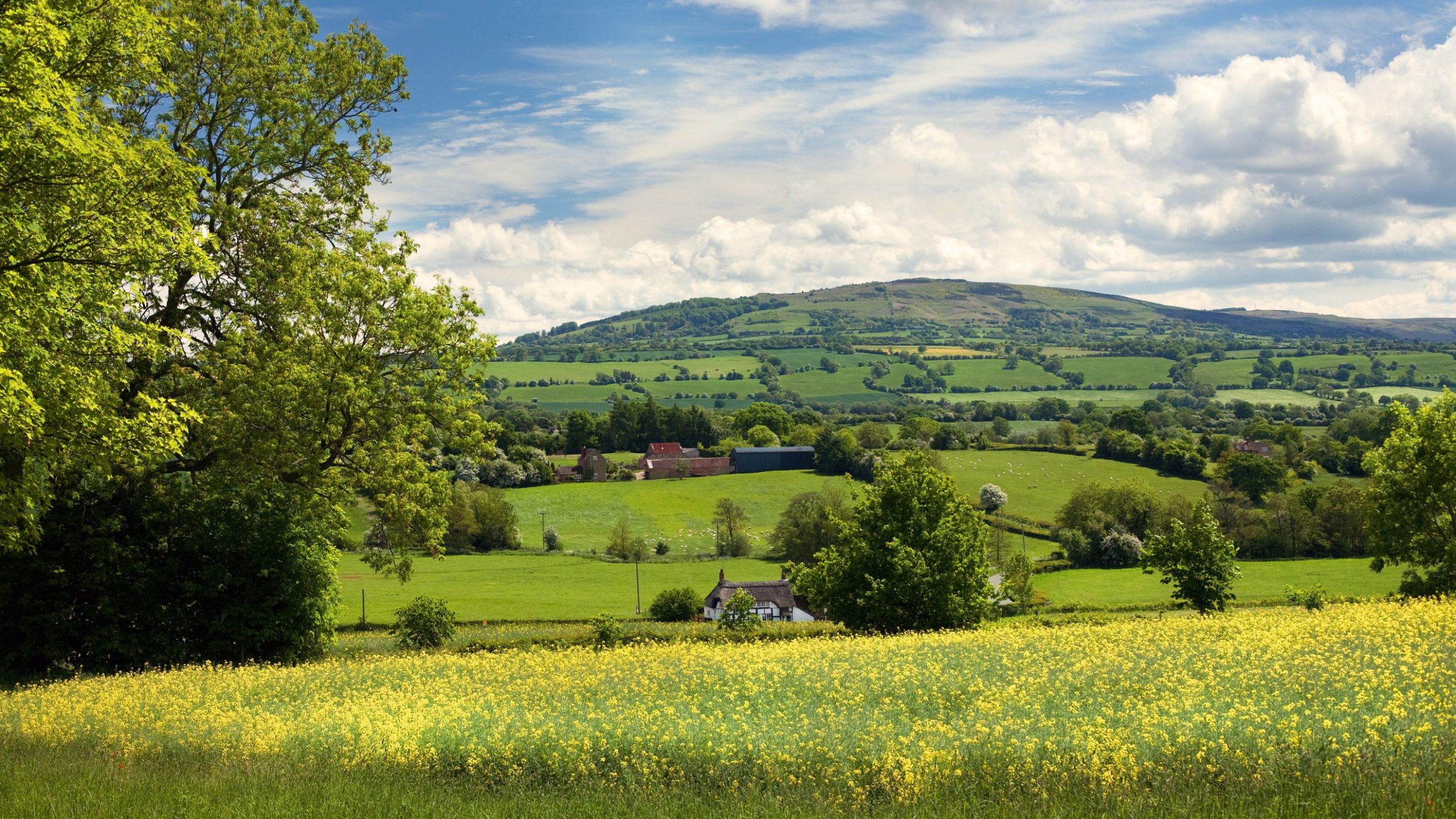 Shropshire