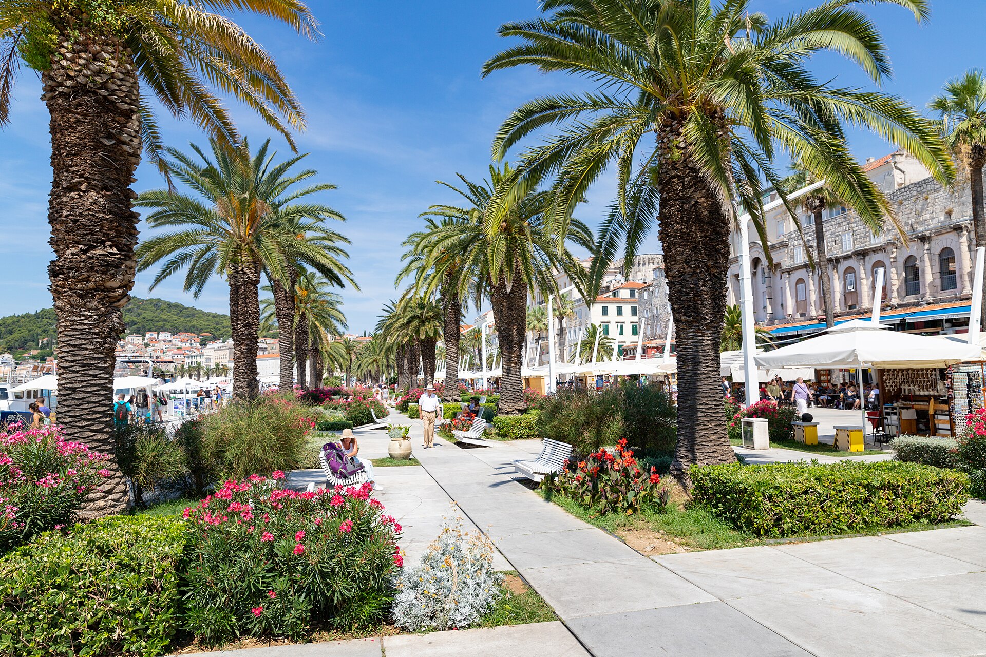 Cafe terraces and palm trees on the Riva promenade in Split, Croatia