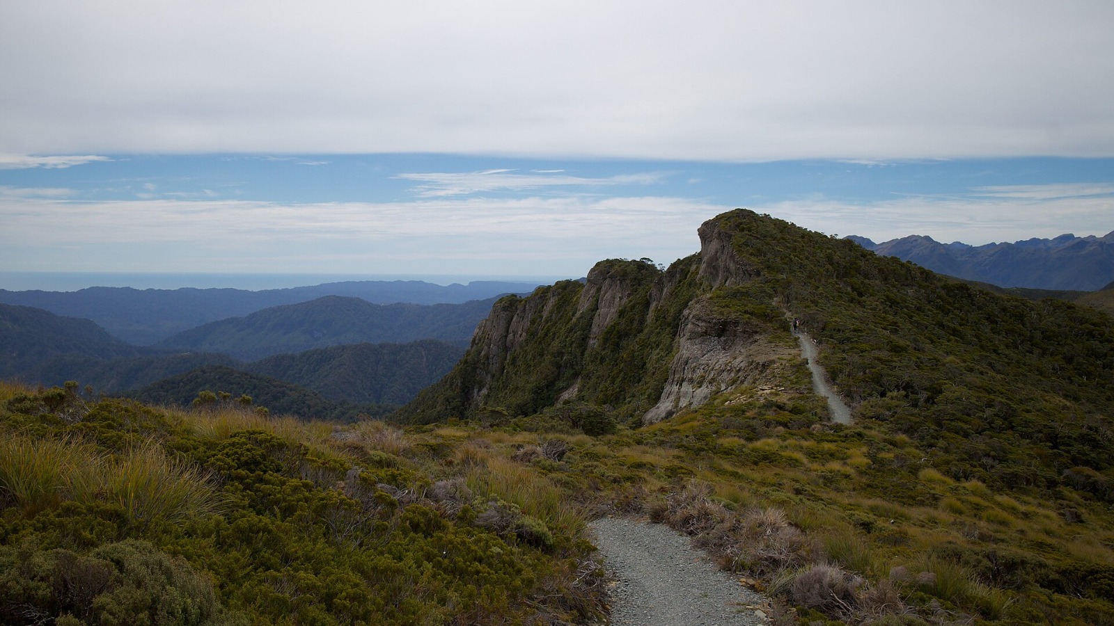 Walkers on a guided trail in the mountains of New Zealand