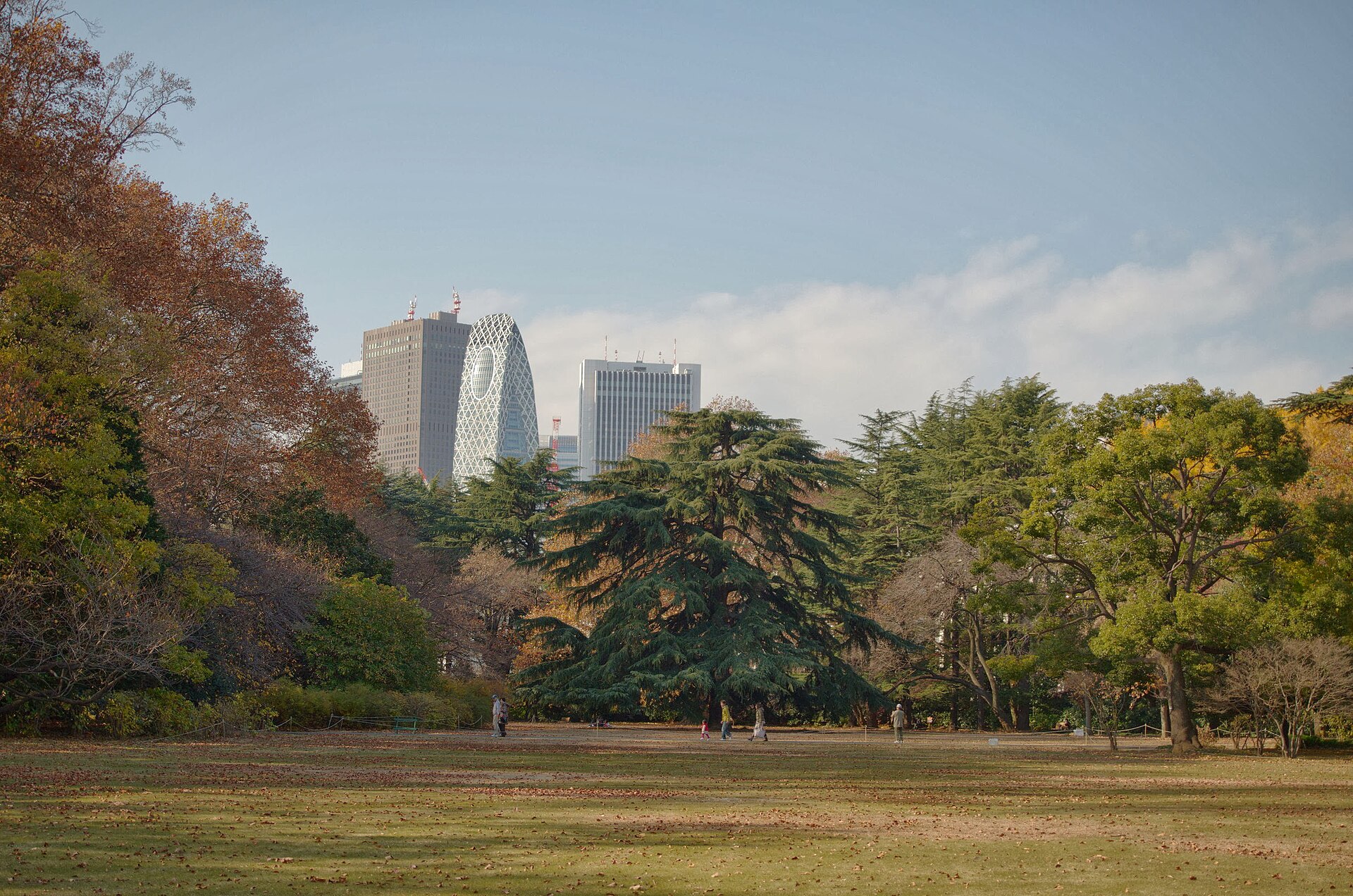 Shinjuku Gyoen National Garden with Shinjuku skyline, Tokyo