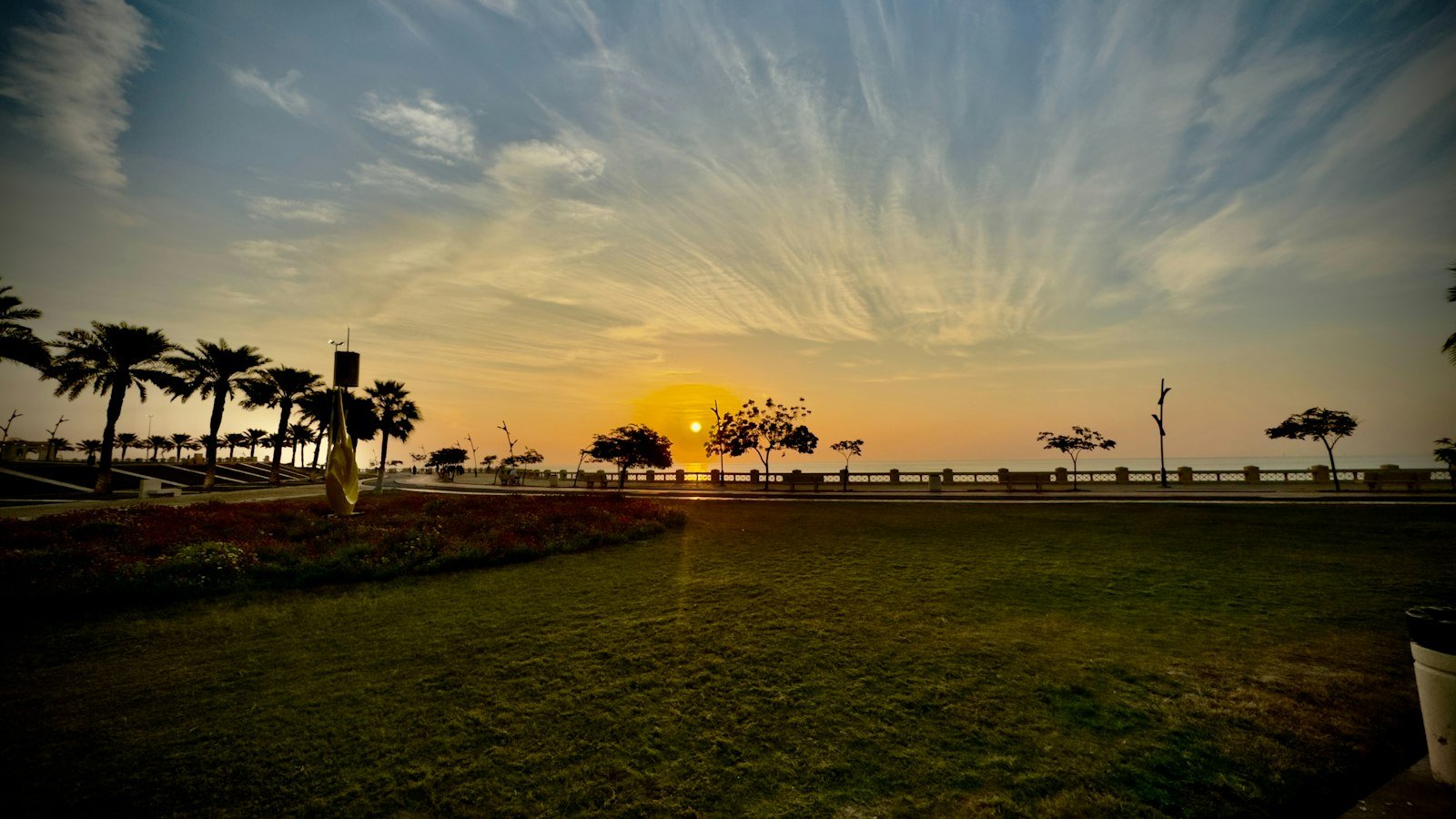 Palm trees silhouetted at sunset