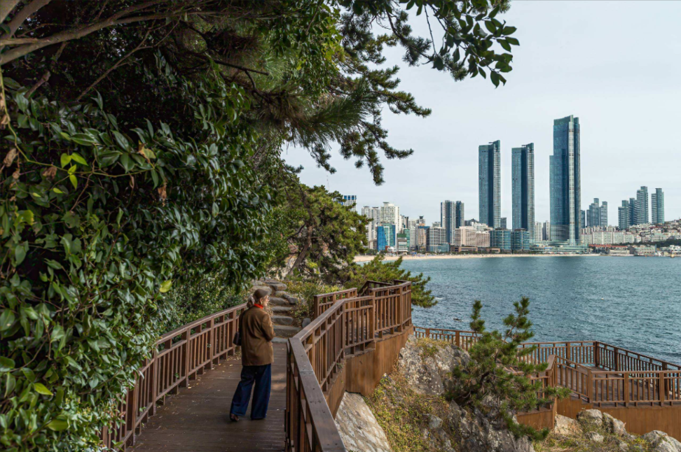 Woman walking a coastal boardwalk in Busan with high-rise buildings across the bay